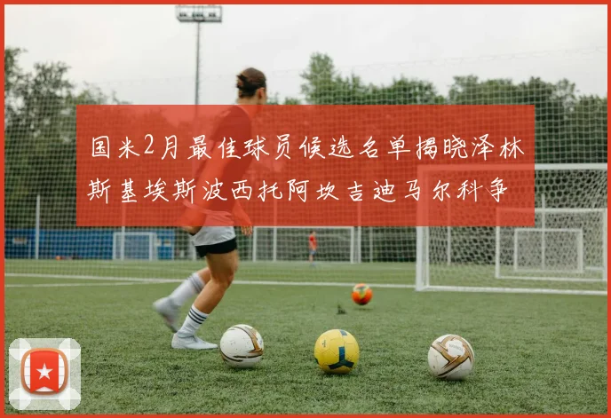 国米2月最佳球员候选名单揭晓泽林斯基埃斯波西托阿坎吉迪马尔科争夺荣誉